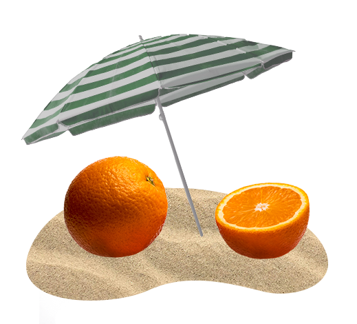 Oranges, umbrella on the sand.