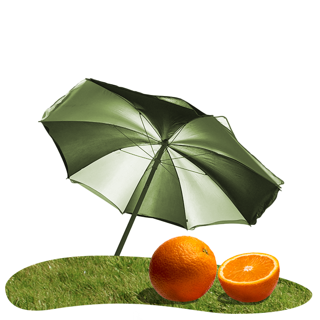 Umbrella, orange fruit on grass. Summer vacation vibes.