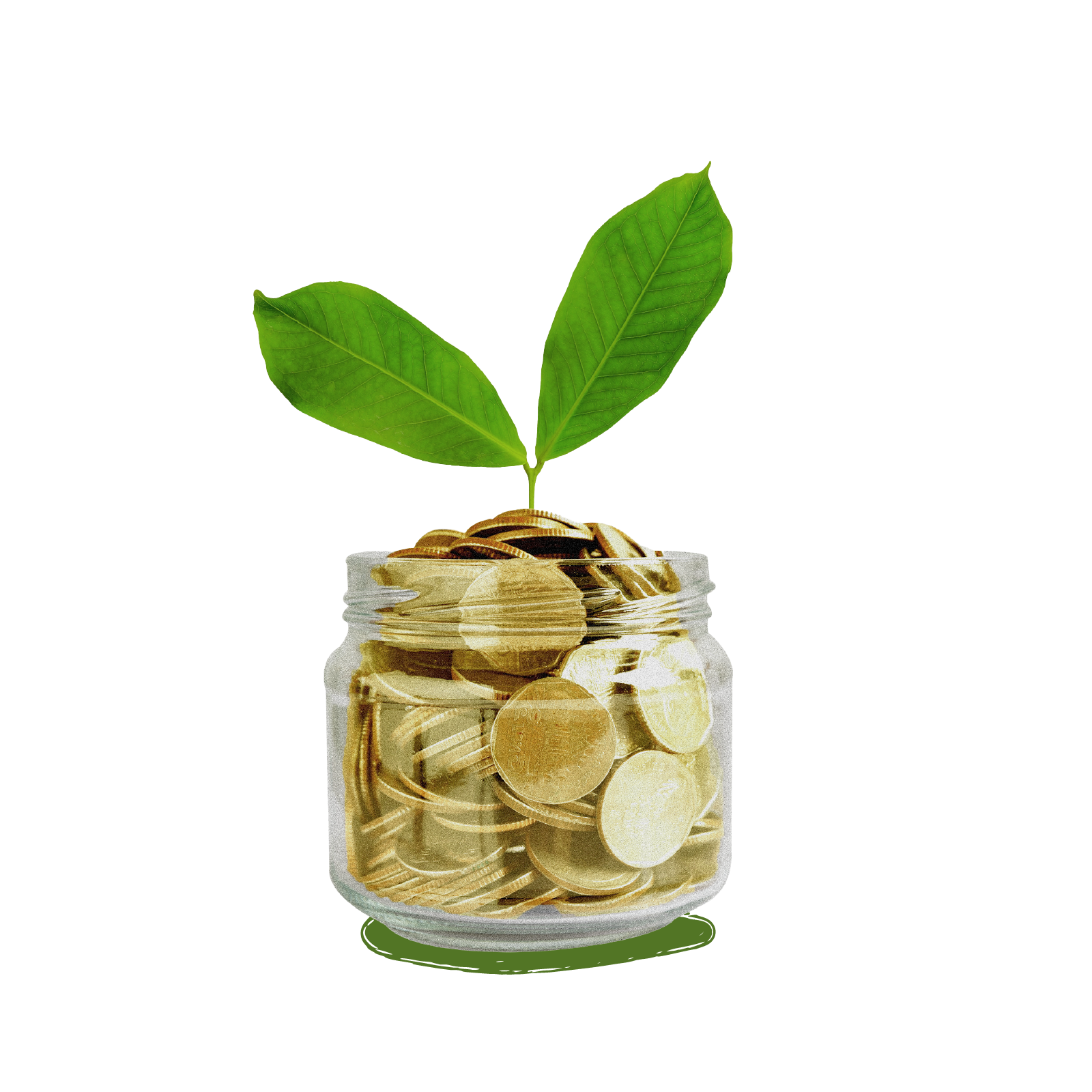 A plant sprouts from a glass jar filled with gold coins, symbolizing financial growth and investment.